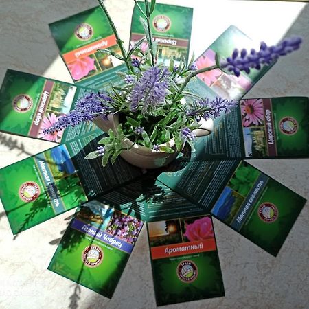 Апартаменты Lavender Хевиз Экстерьер фото